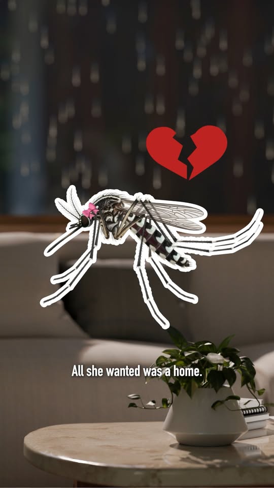 Plantation Plaza Urges Shoppers to Prevent Aedes Mosquito Breeding