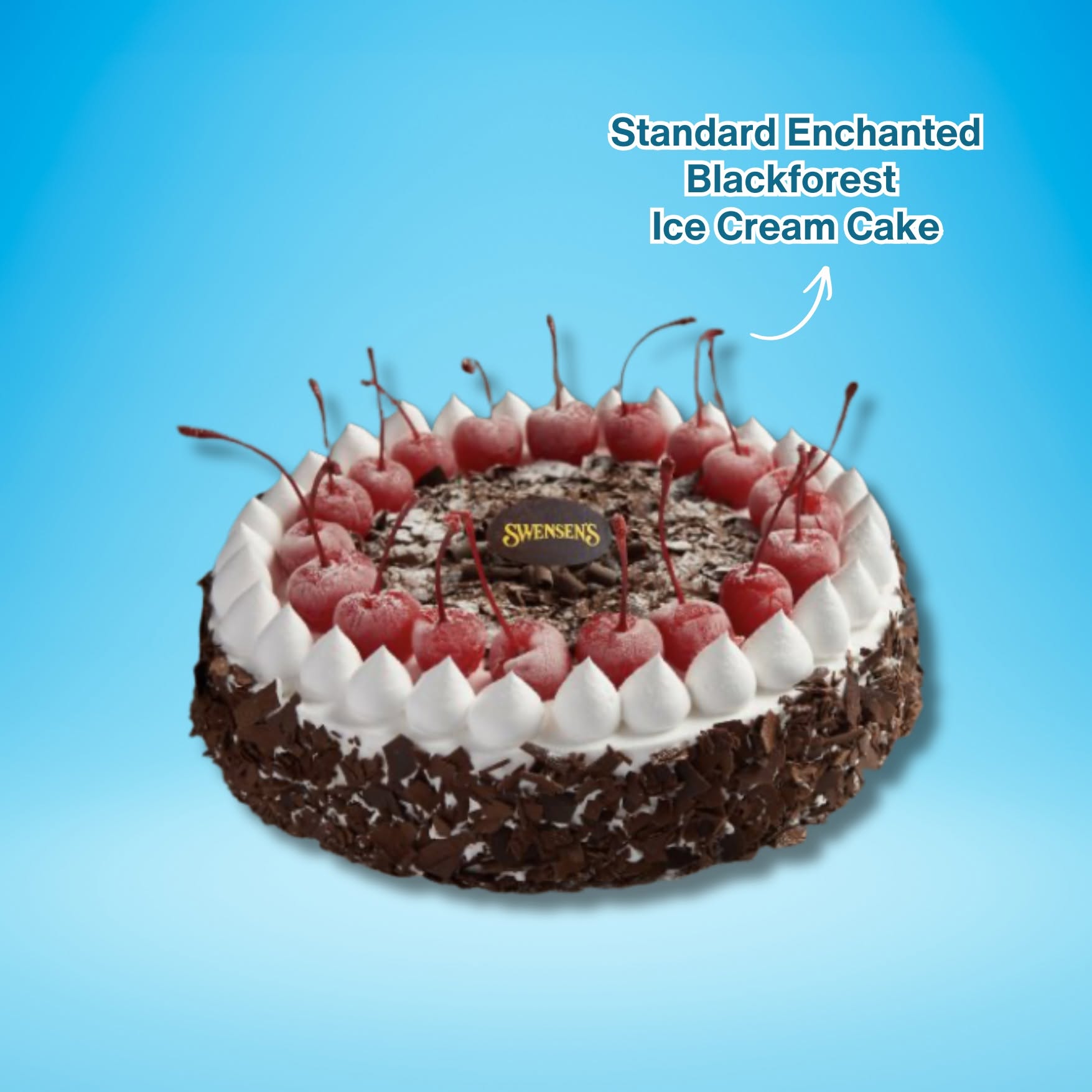 Swensen's Enchanted Blackforest Ice Cream Cake