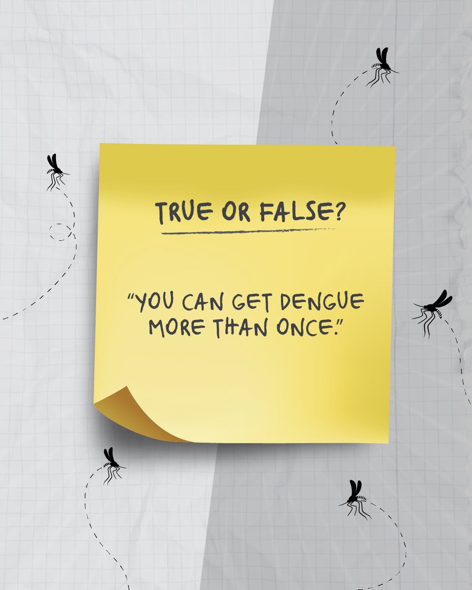 True or false question about repeat dengue infection
