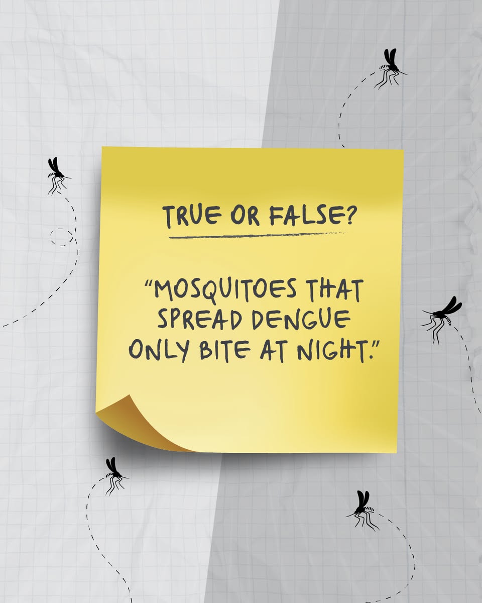 True or false question about mosquito biting times