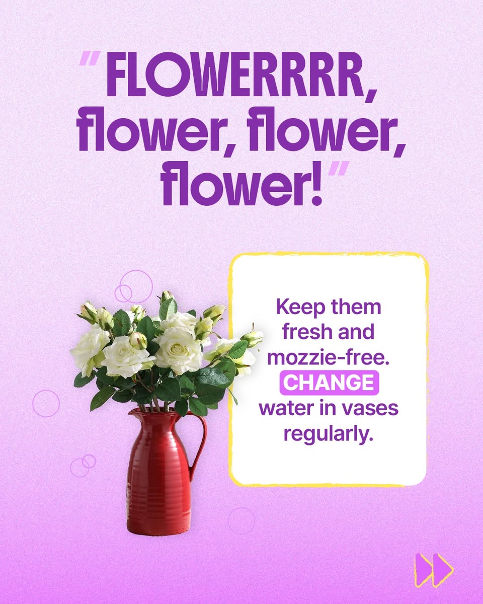 Change water in vases regularly to keep flowers fresh and mozzie-free