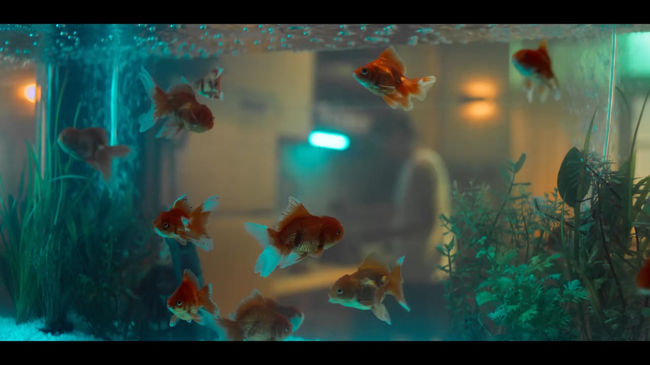 A variety of healthy, low-sodium grocery options available at Giant Supermarket