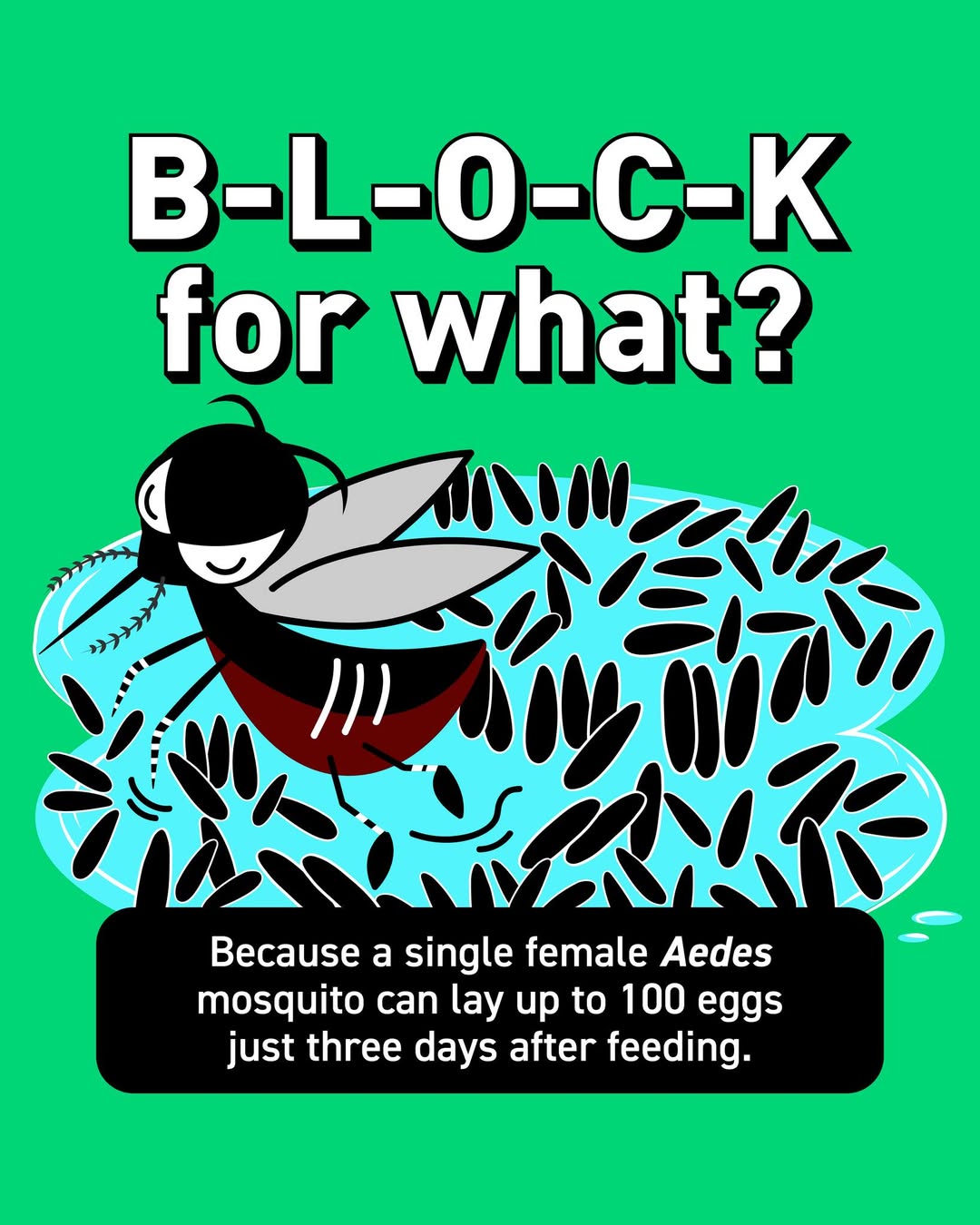 A visual representation of home safety and dengue prevention.
