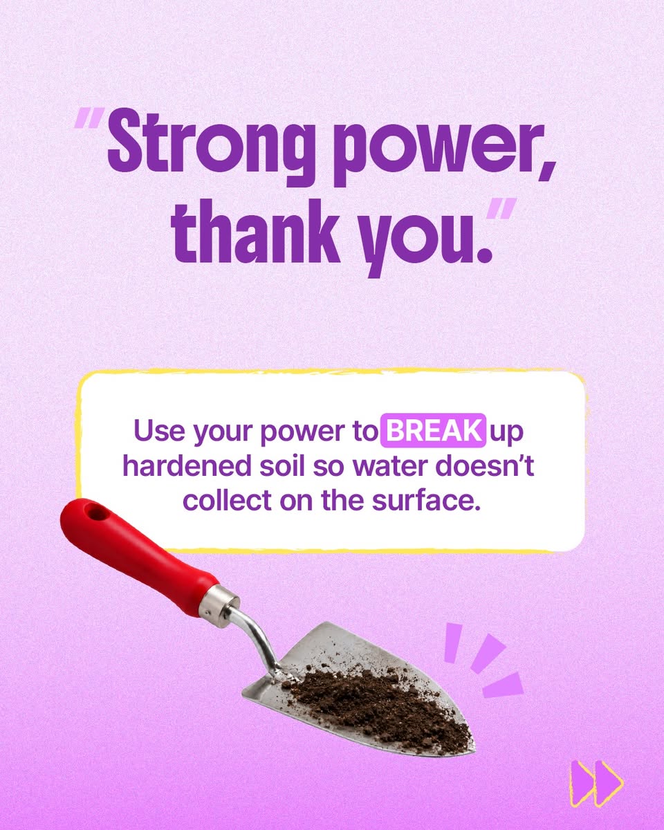 Break up hardened soil so water does not collect on the surface