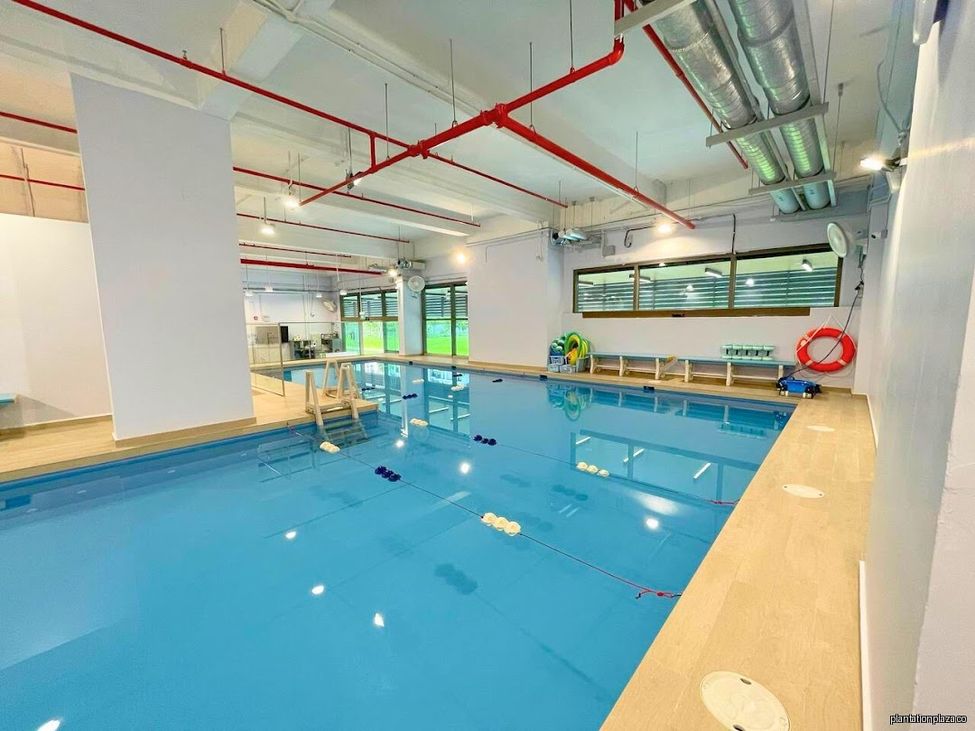 Happy Fish Swim School - Tengah