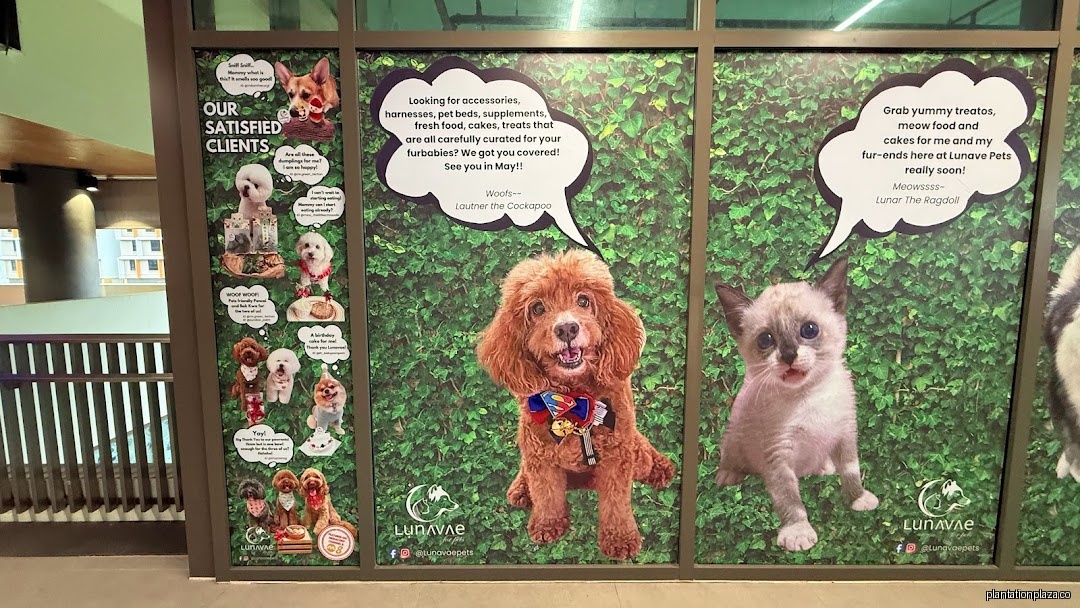 Lunavae Pets - Image 16