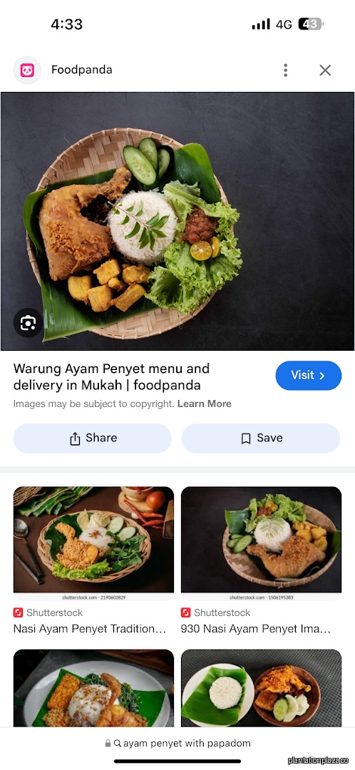Menu page for NAN YANG DAO 南洋岛
